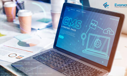 cms website development