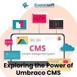 umbraco CMS